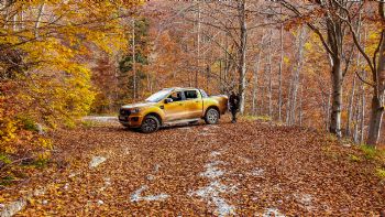 :  Ford Ranger Wildtrak
