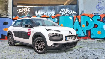 Test: C4 Cactus 1,2