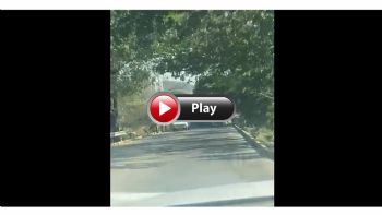 VIDEO:   !