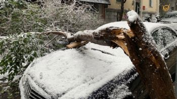 Δήμος Αθηναίων: Αποζημιώνει τα οχήματα που χτυπήθηκαν από δέντρα 