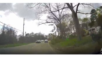 VIDEO:   ...
