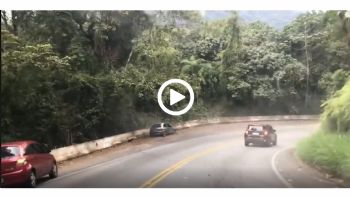 VIDEO:     