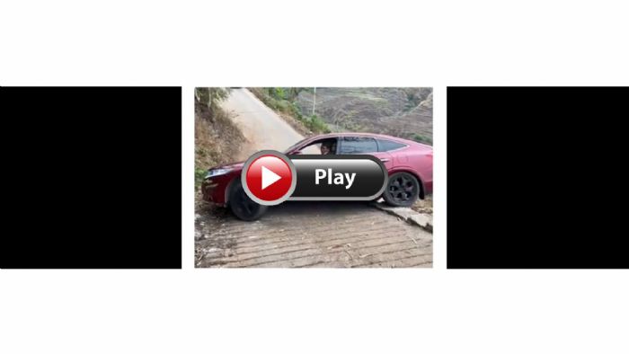 VIDEO:   ; ,    .