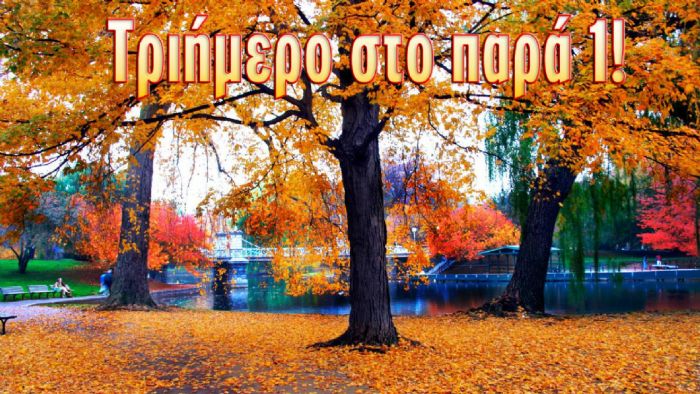 4 επιλογές της τελευταίας στιγμής για την 28η