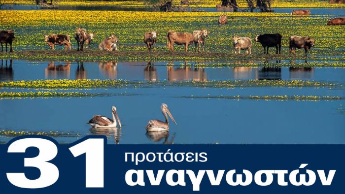 Σέρρες - Κερκίνη:31 Προτάσεις Αναγνωστών!
