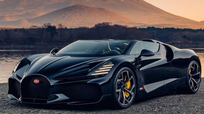 Η Bugatti προετοιμάζει το έδαφος για τις Bolide και W16 Mistral