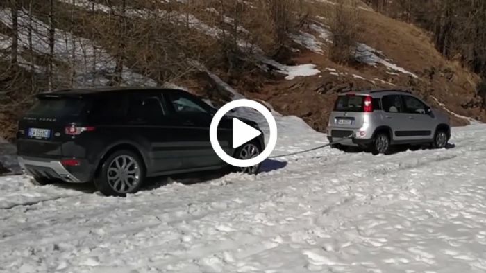 Panda και παντού!