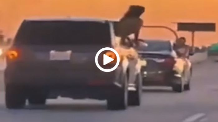 Έφαγαν το κεφάλι τους γιατί γούσταραν παιχνίδια στους δρόμους