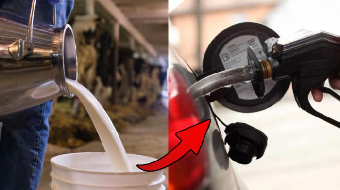 Αγρότες φτιάχνουν καύσιμα από γάλα!