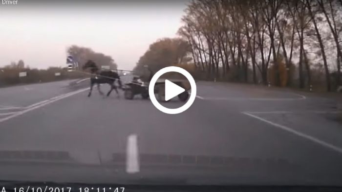 Θα τον έπαιρναν με κάρο! Θα τον έπαιρναν με κάρο!