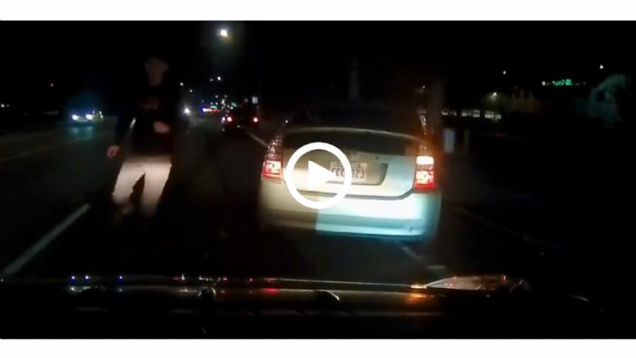 VIDEO: Μια κόρνα φταίει για όλα...