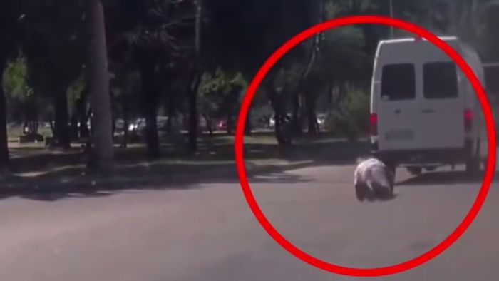 Τον πάτησε και σηκώθηκε ατσαλάκωτος
