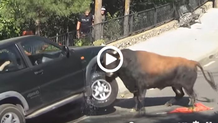 Ταύρος διαλύει SUV Ταύρος διαλύει SUV