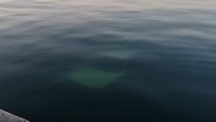 Mέσα στον Θερμαϊκό κατέληξε 23χρονος