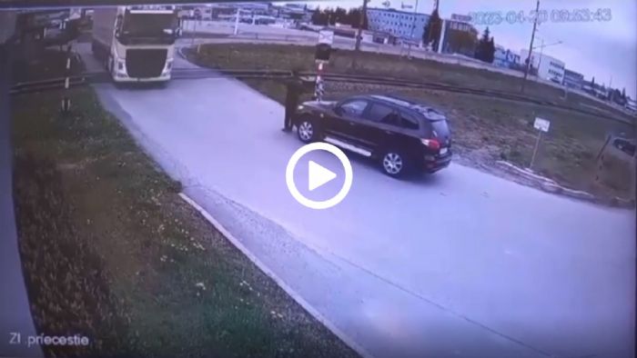 VIDEO: Μόλις κατάλαβε, έγινε λαγός! VIDEO: Μόλις κατάλαβε, έγινε λαγός!