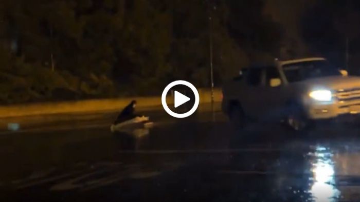 VIDEO: Έλκηθρο στη βροχή; Γίνεται!