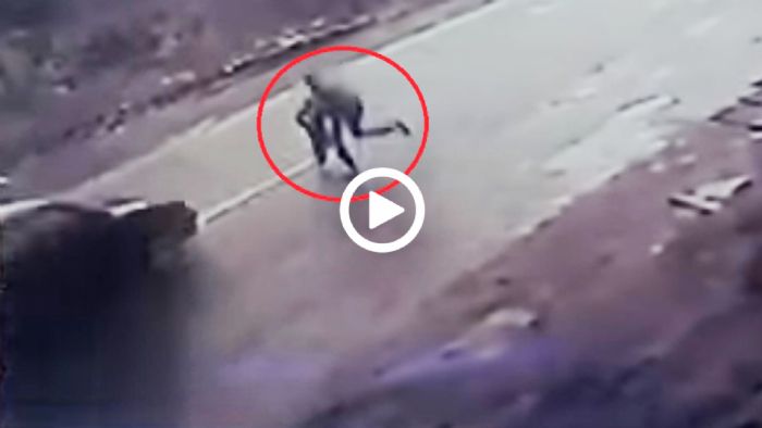 Φτεροπόδαρος ήρωας θυσιάστηκε για να σώσει τη ζωή παιδιού