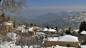 Έλατα χιόνια και ομορφιά 