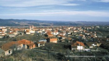 Δαδιά – Σουφλί: Στο βιότοπο του γύπα