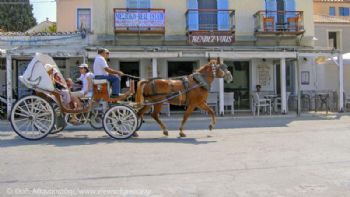 Σπέτσες: Το νησί των αρωμάτων