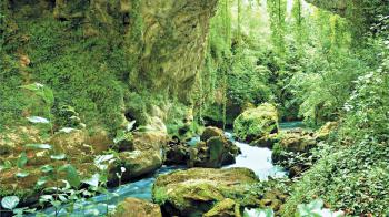 Απίστευτη photo: Τα κέφια της φύσης