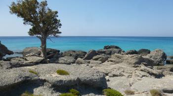Παράσημο για ελληνικές παραλίες