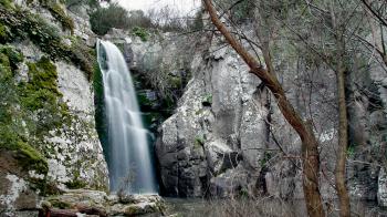 Ένα δάσος μοναδικό στον κόσμο