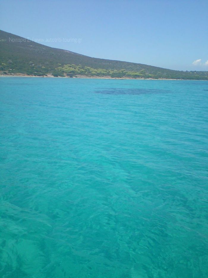 Πεταλιοί