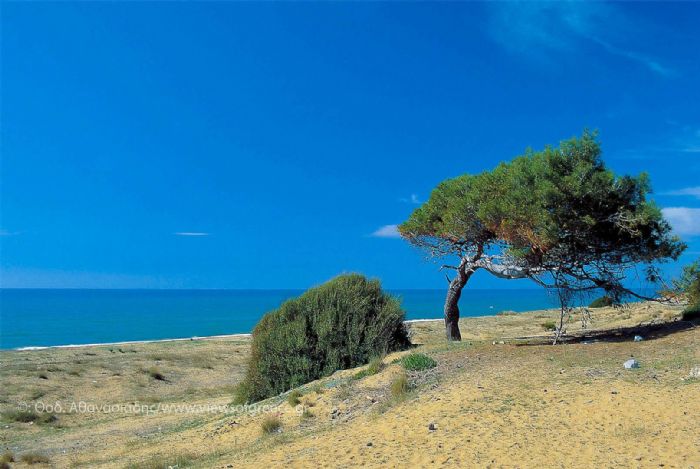 Η παραλία της Στροφυλιάς