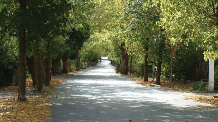 Ο δρόμος της αγάπης στη Βυτίνα