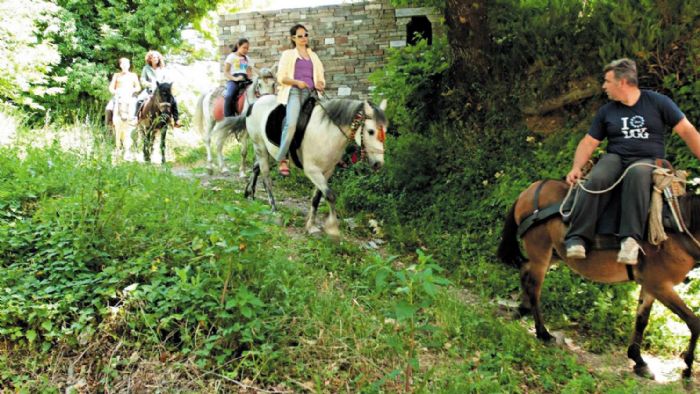 Φωτογραφία από το www.tsagarada-pelion.com