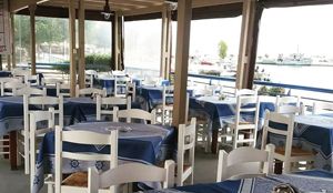 Άλλα ψάρια στο χώρο της θαλάσσιας γνωριμιών